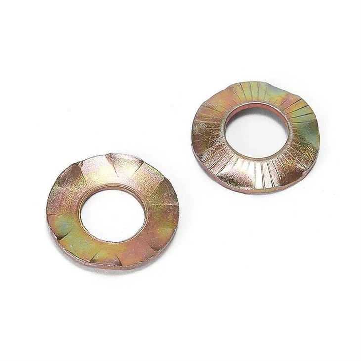 contact washer (5)