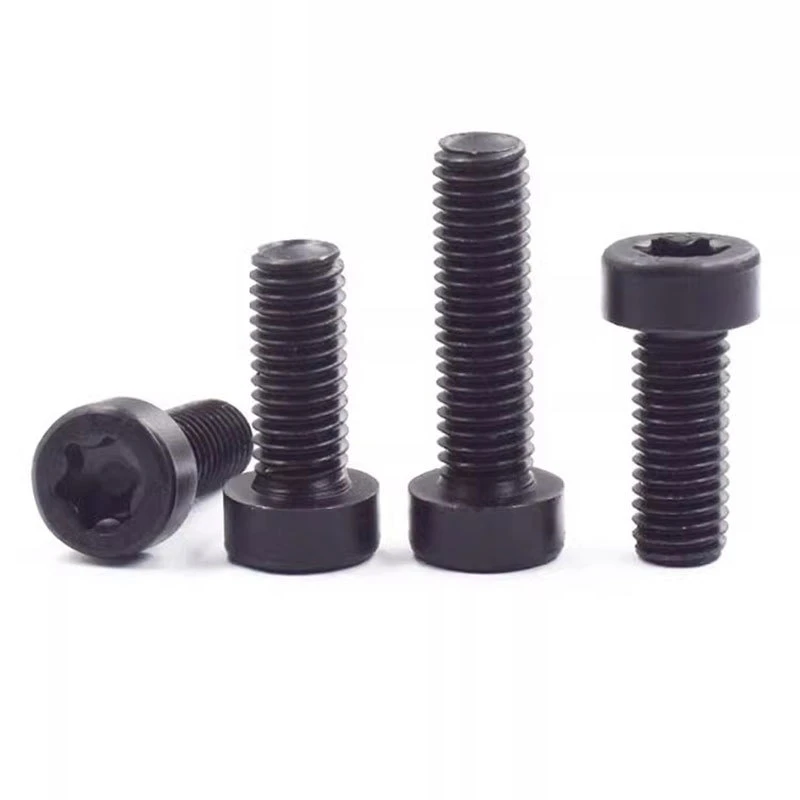 black torx screw 2