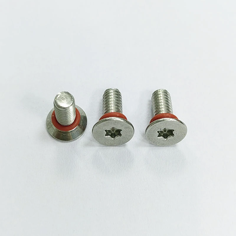 Dichtung manipulationsresistente Torxschraube versiegeln